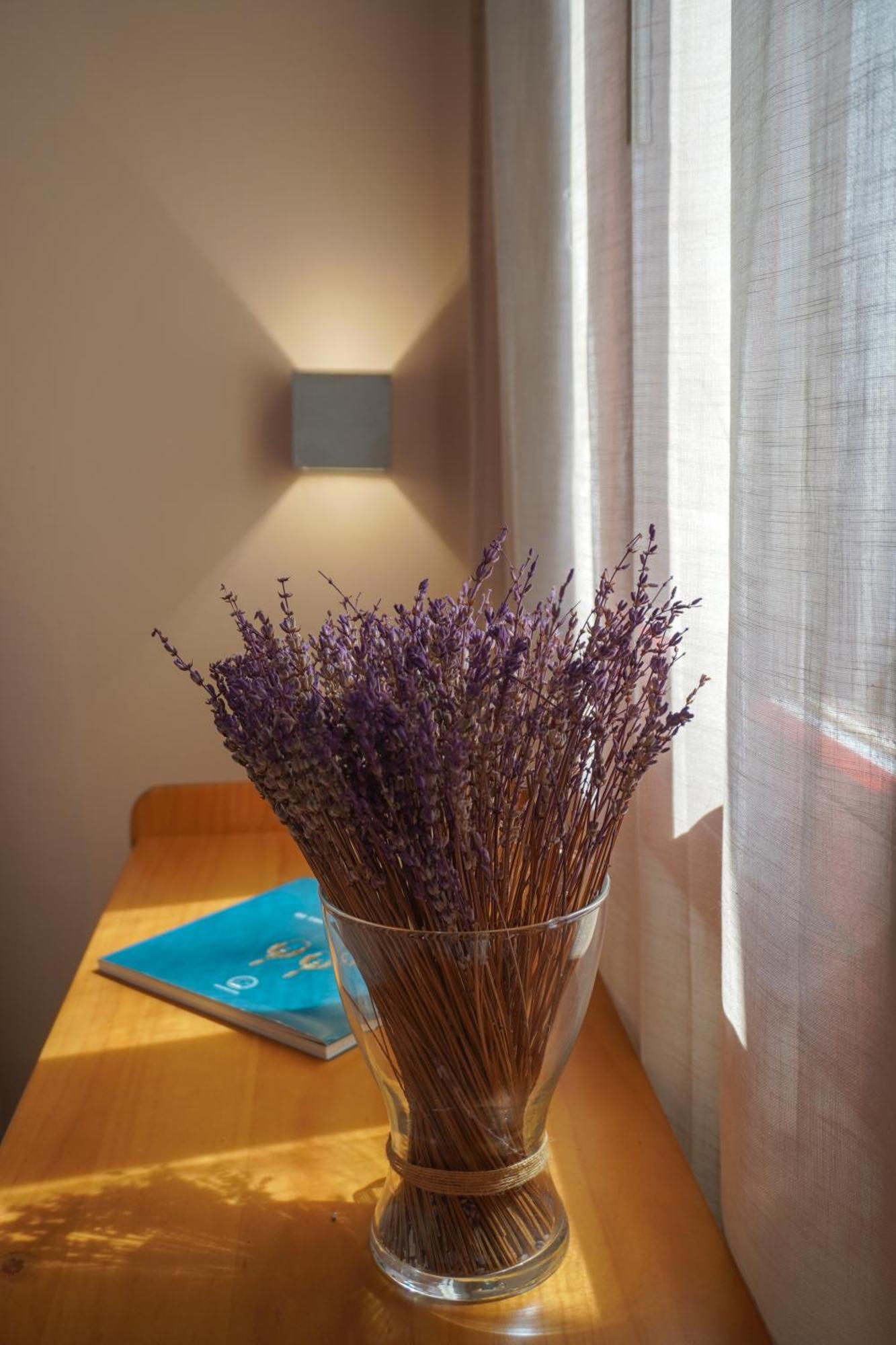 Arodou Studio And Apartment Mykonos Town ภายนอก รูปภาพ